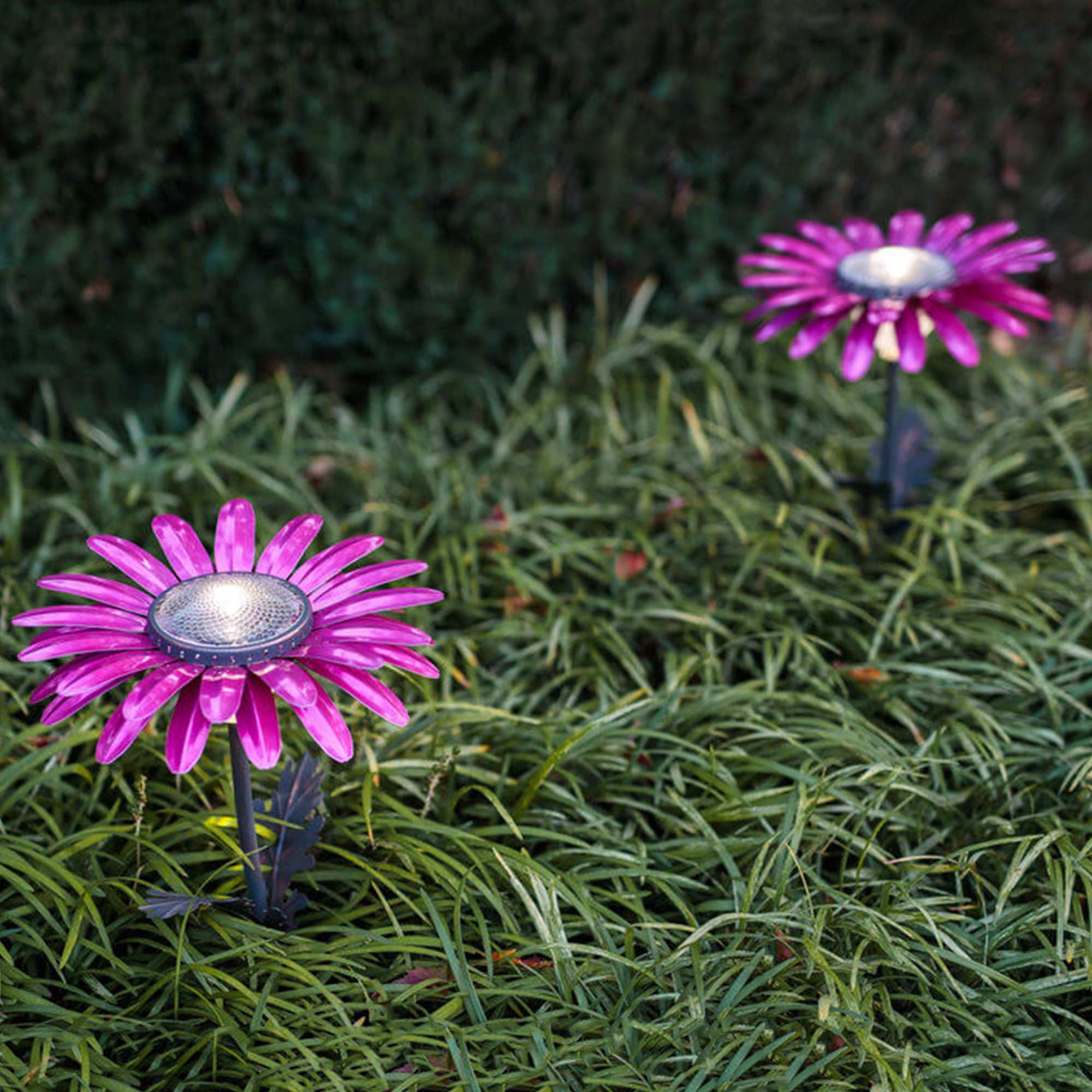 Shop Pink Daisy Solar Garden Light Desert Steel; Lighting; Outdoors