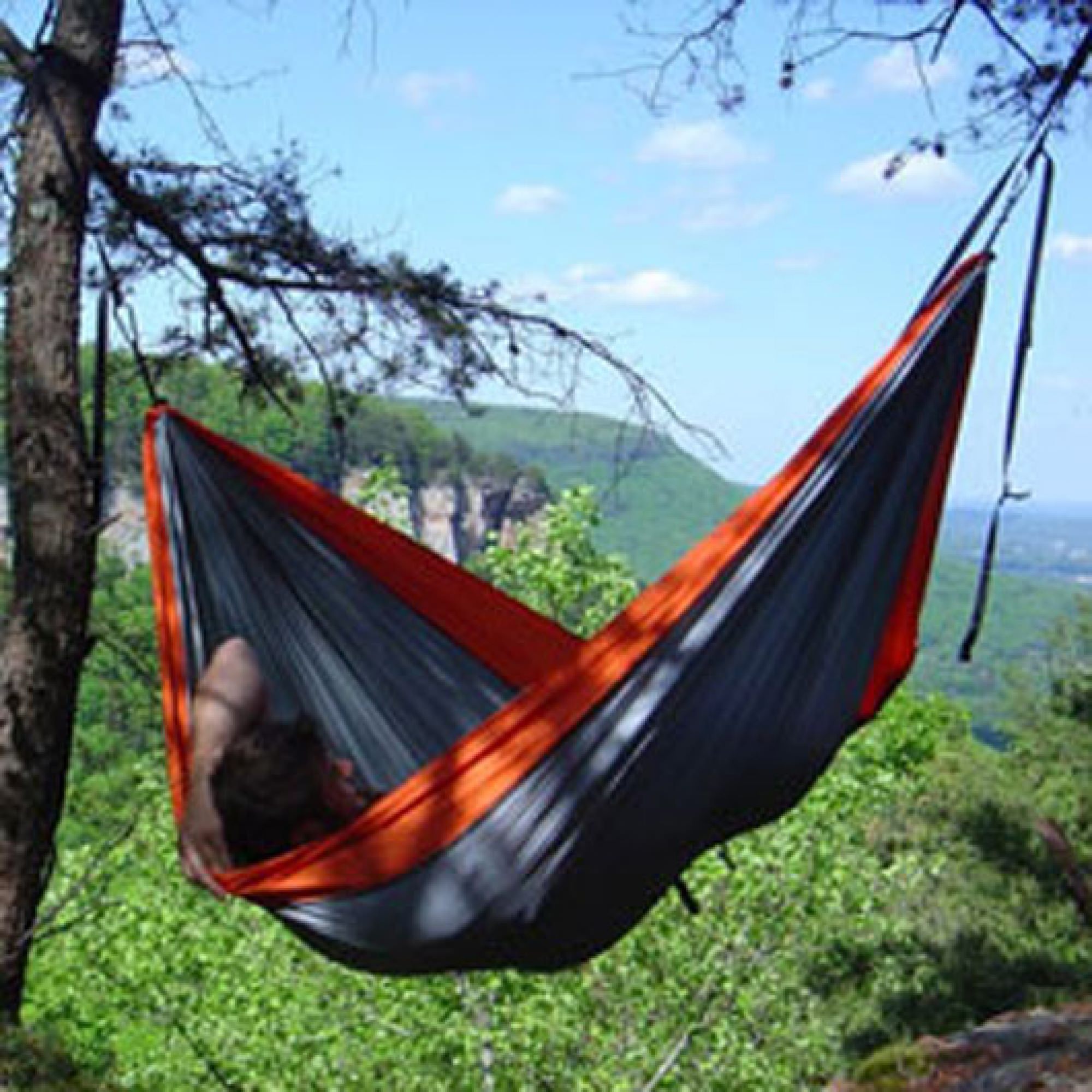 Single or double nest hammock