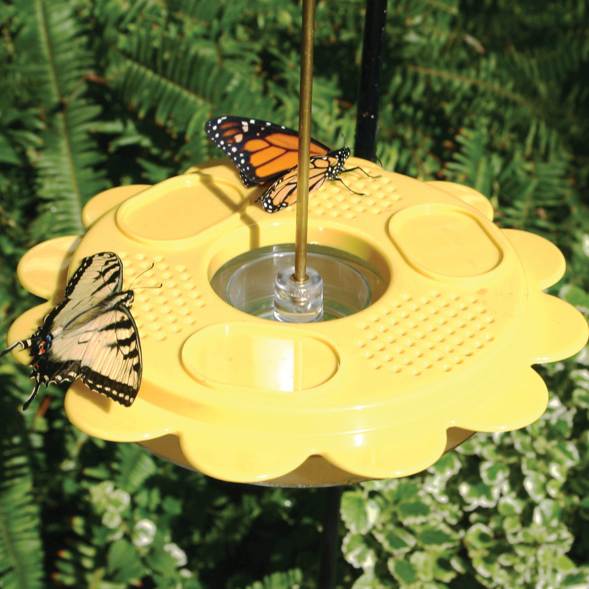 12 oz. Flutterby Butterfly Feeder DFOHome