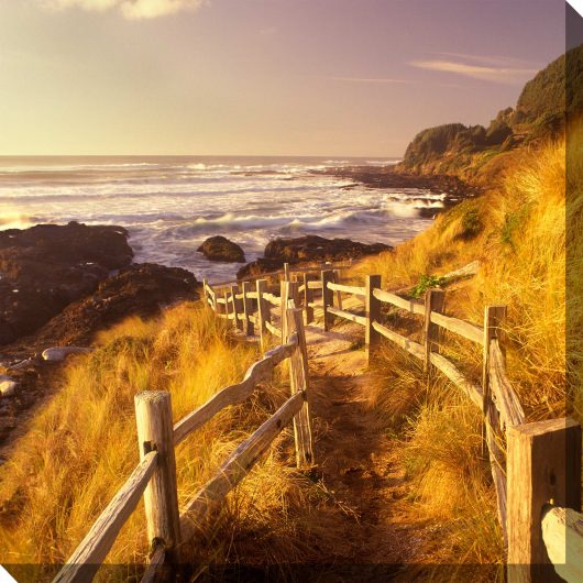 Pathway To Beach Outdoor Wall Art