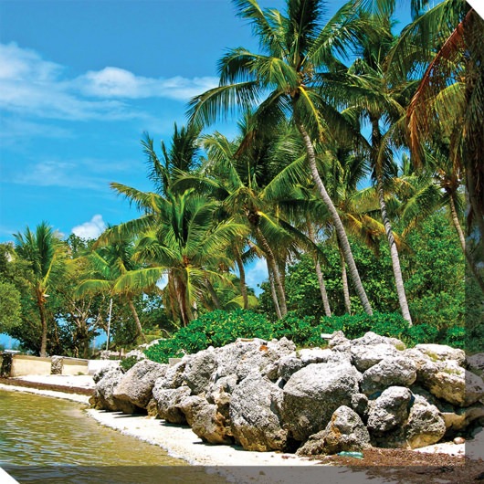 Rocky Beach Outdoor Wall Art