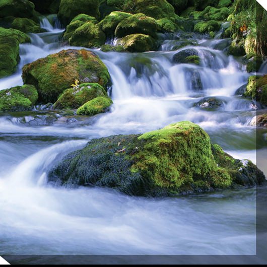 Mossy Rocks No. 2 Outdoor Wall Art