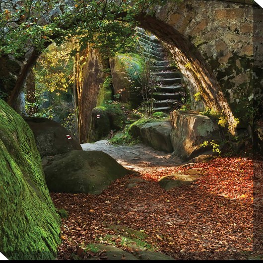 Nature's Nook Outdoor Wall Art