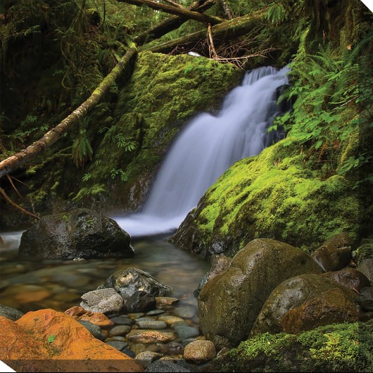 Woodland Falls Outdoor Wall Art