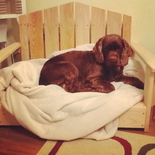 adirondack dog bed