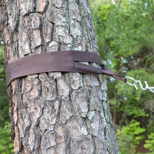 Hammock Tree Straps