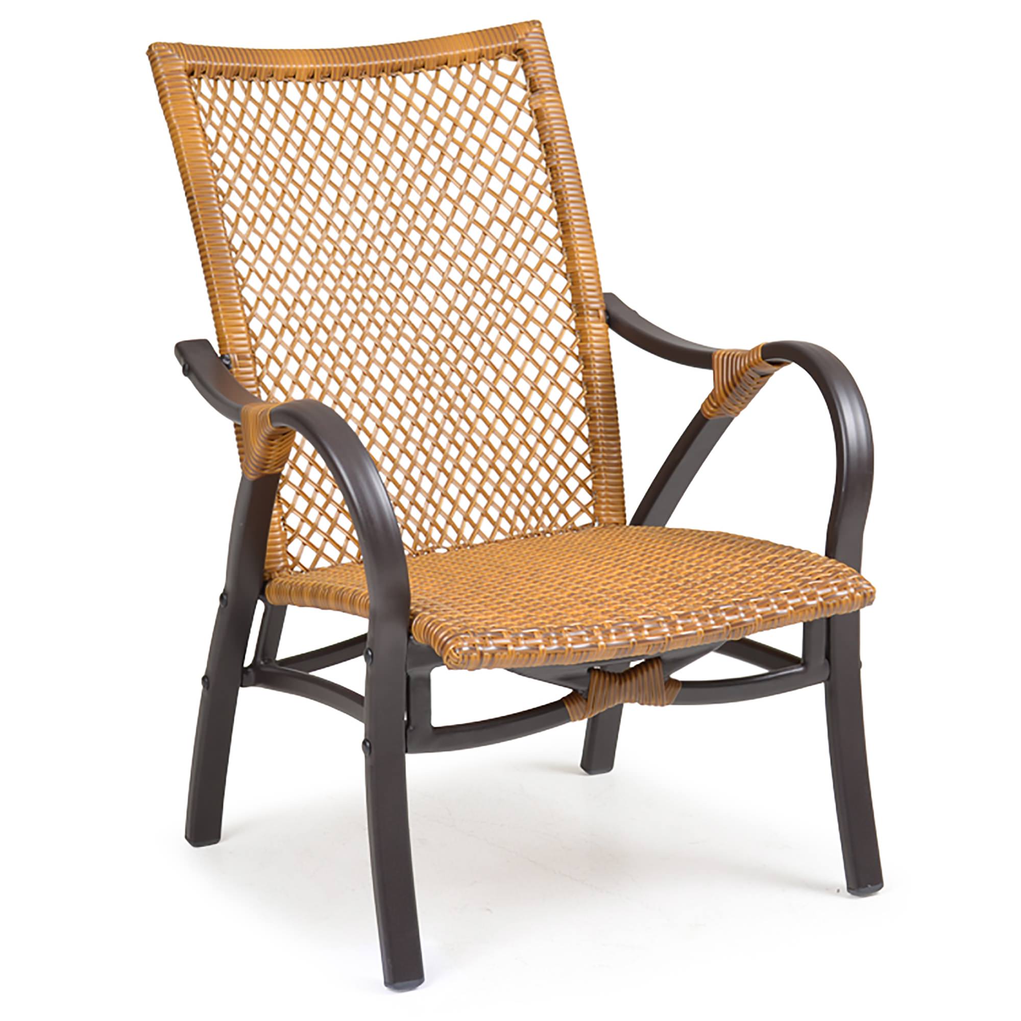 WaterMark Living Resin Wicker Lounge Chair