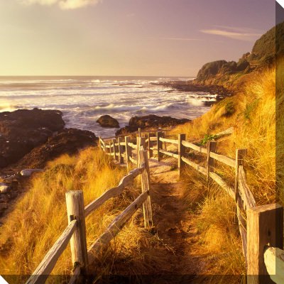 Pathway To Beach Outdoor Wall Art