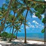 Palms No. 1 Outdoor Wall Art