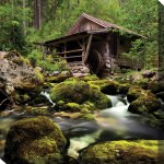 Rustic River Outdoor Wall Art
