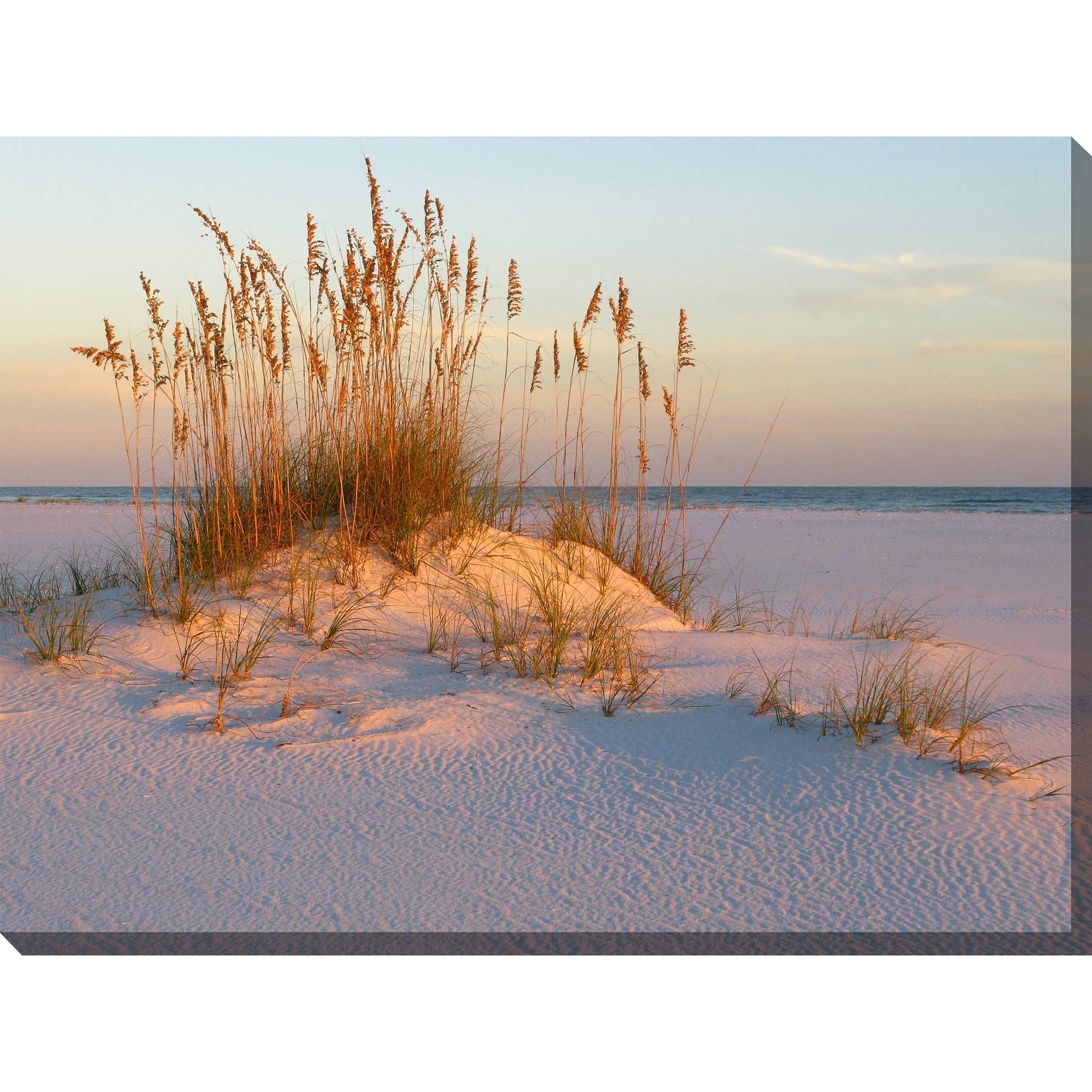 Sea oats and sand outdoor wall art piece by West of the Wind OU79119