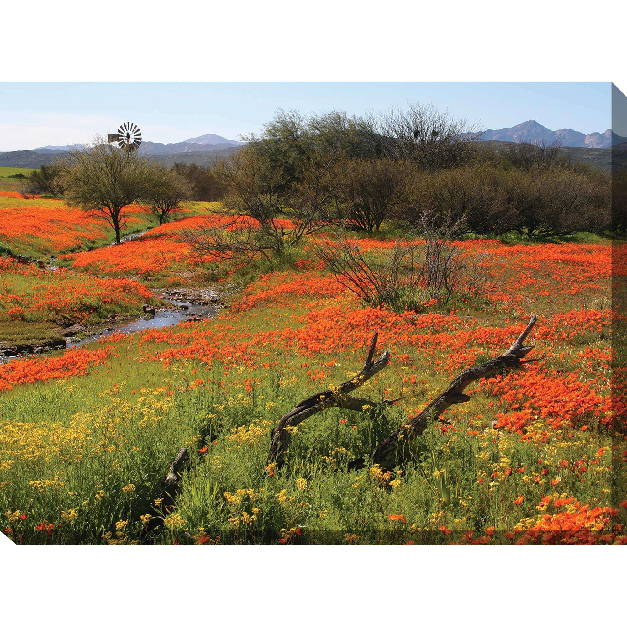 Home on the range outdoor wall art piece by West of the Wind OU79157