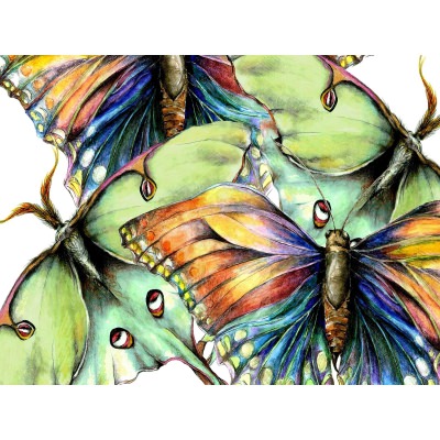 Pastel Butterfly No. 2 Outdoor Wall Art