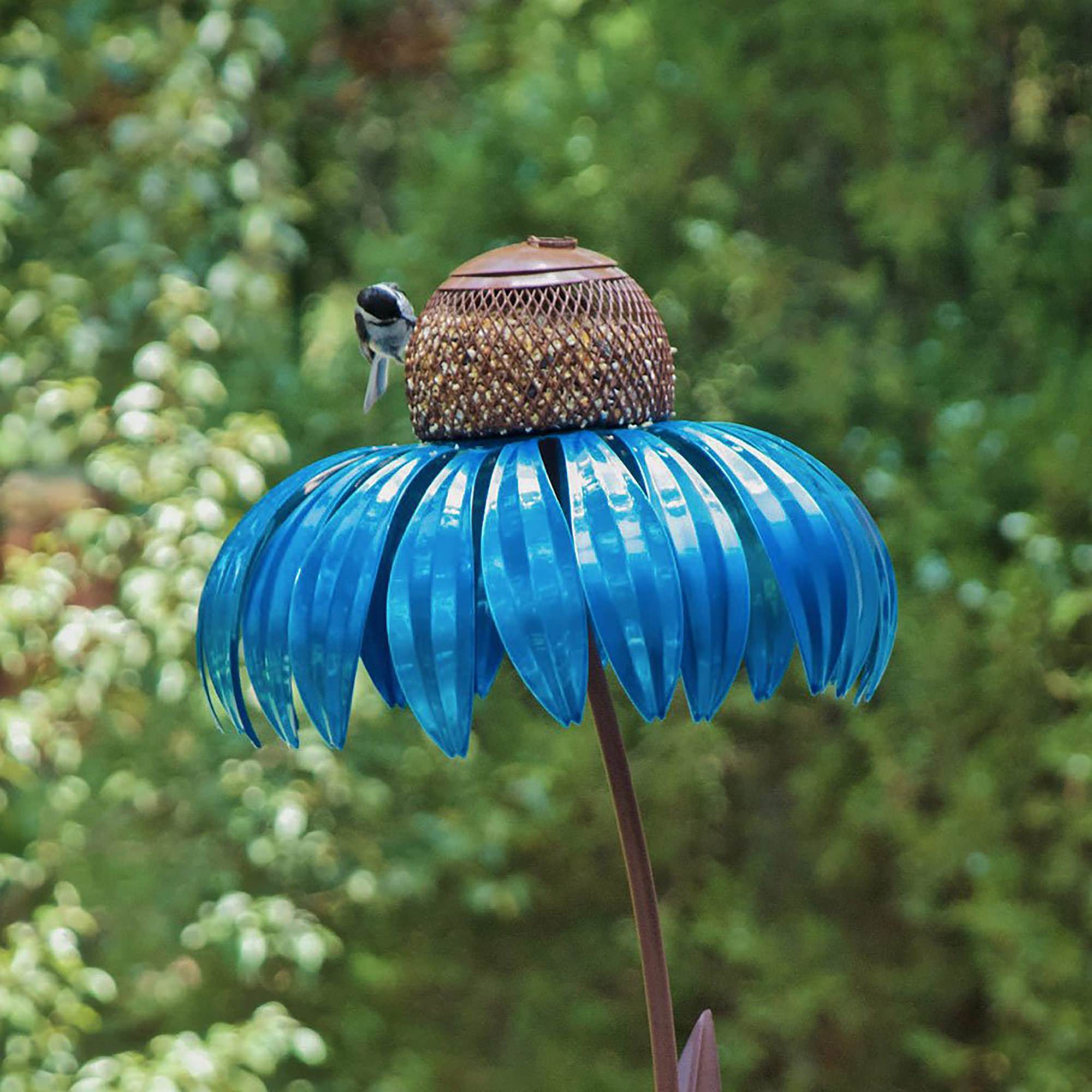 Blueberry Pie Coneflower Bird Feeder