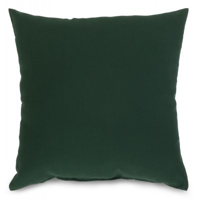 Green Outdoor Throw Pillow 16 in. x 16 in. Square