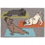 Frontporch Yoga Dogs Heather