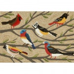 Frontporch Birds Outdoor Rug