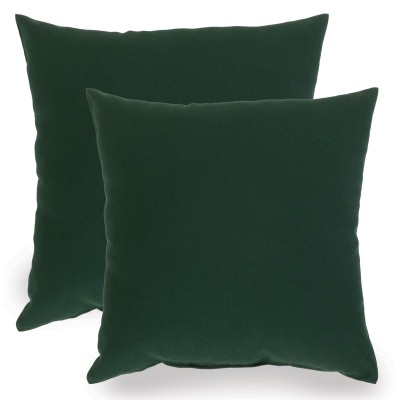 Green Indoor/Outdoor Throw Pillow - Set of Two