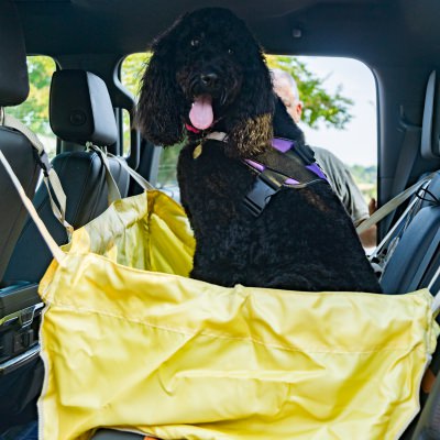 Water Resistant Back Seat Saver & Cover for Pet & Travel