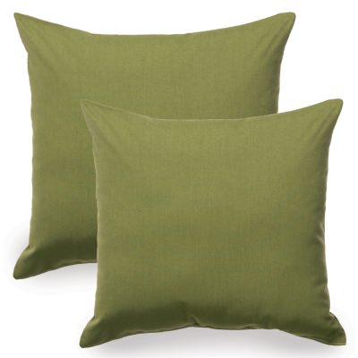 Spectrum Cilantro Indoor/Outdoor Throw Pillow - Set of Two