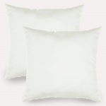 Spectrum Eggshell Sunbrella Indoor/Outdoor Throw Pillow - Set of Two