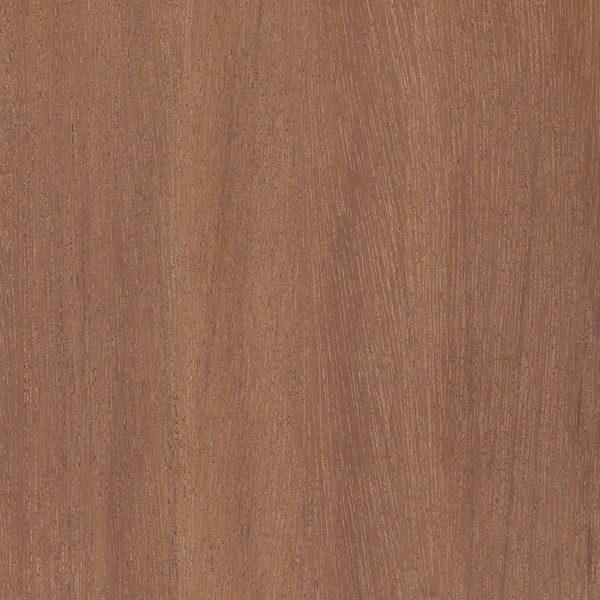 Teak Wood